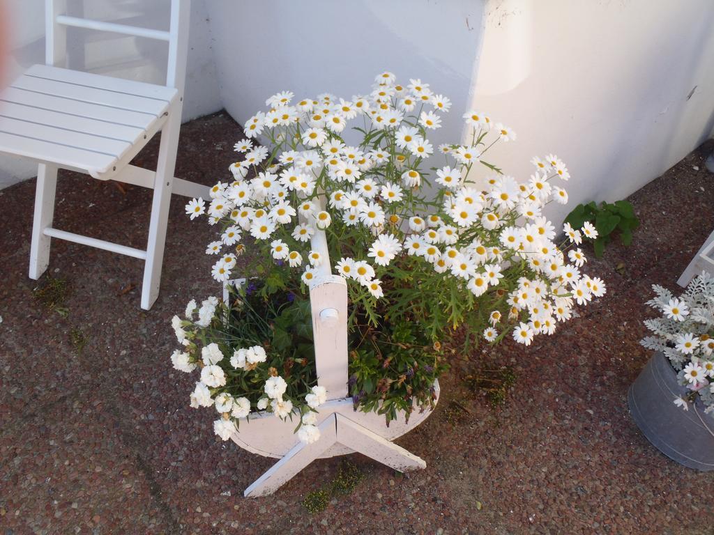 Oddevej 20 Skagen Hotel Exterior foto